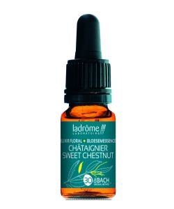 Châtaignier - Sweet chestnut (n°30) BIO, 10 ml